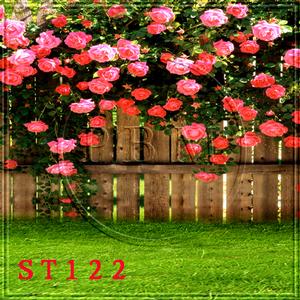 5'x8' ST122